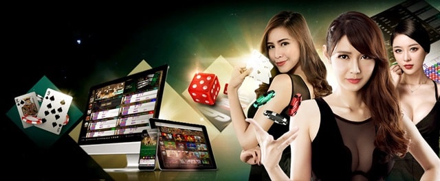 Discovering Vibet Casino: A Full Library of Slots